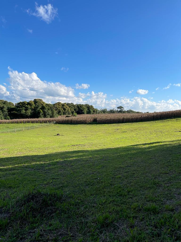 Terreno Quinta da Bela Vista