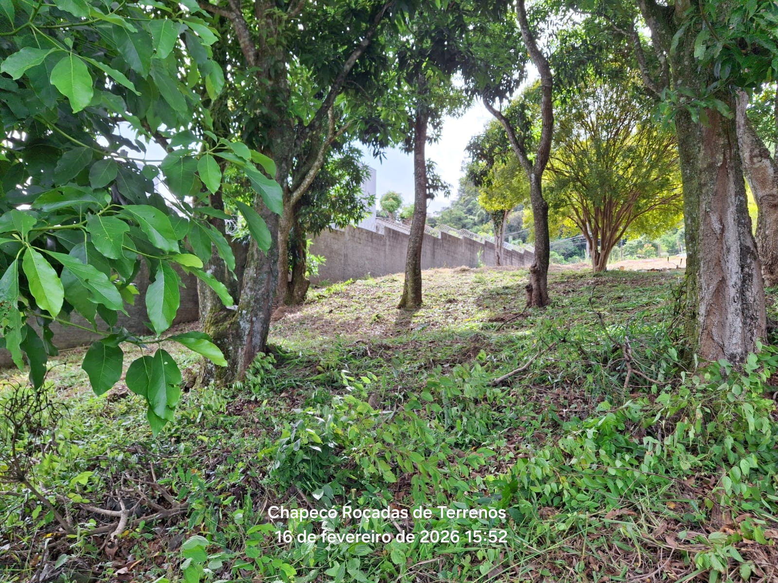 Terreno Goio-Ên — Chapecó